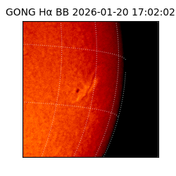 gong - 2026-01-20T17:02:02