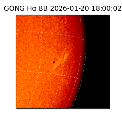 gong - 2026-01-20T18:00:02