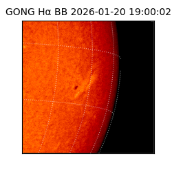 gong - 2026-01-20T19:00:02