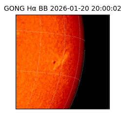 gong - 2026-01-20T20:00:02