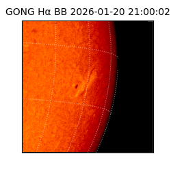 gong - 2026-01-20T21:00:02