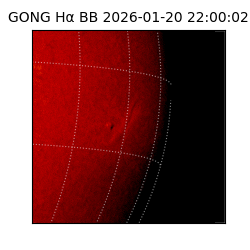 gong - 2026-01-20T22:00:02