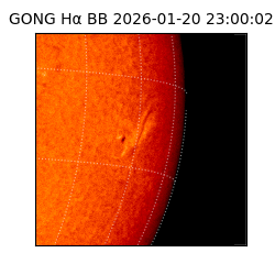 gong - 2026-01-20T23:00:02