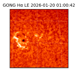 gong - 2026-01-20T01:00:42