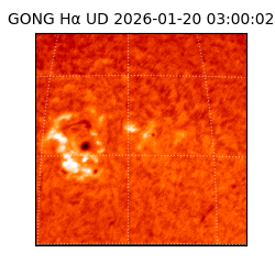 gong - 2026-01-20T03:00:02