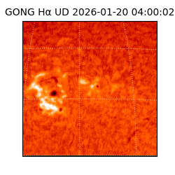 gong - 2026-01-20T04:00:02