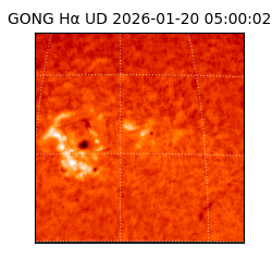 gong - 2026-01-20T05:00:02