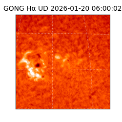 gong - 2026-01-20T06:00:02