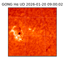 gong - 2026-01-20T09:00:02
