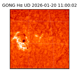 gong - 2026-01-20T11:00:02