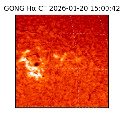 gong - 2026-01-20T15:00:42