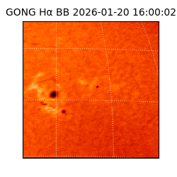 gong - 2026-01-20T16:00:02