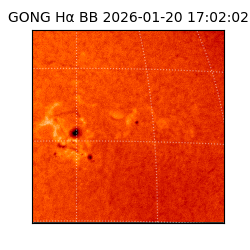 gong - 2026-01-20T17:02:02
