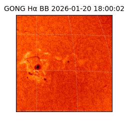 gong - 2026-01-20T18:00:02