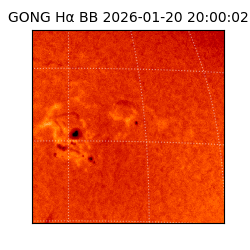 gong - 2026-01-20T20:00:02