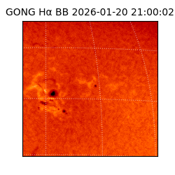 gong - 2026-01-20T21:00:02