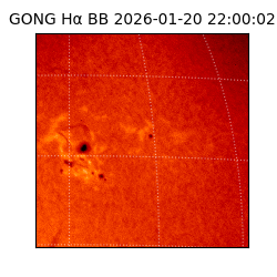 gong - 2026-01-20T22:00:02