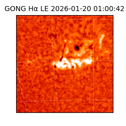 gong - 2026-01-20T01:00:42