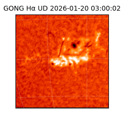 gong - 2026-01-20T03:00:02