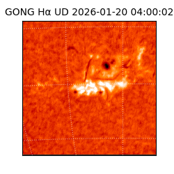 gong - 2026-01-20T04:00:02