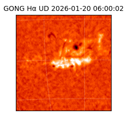 gong - 2026-01-20T06:00:02