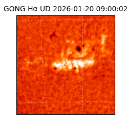 gong - 2026-01-20T09:00:02