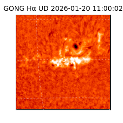 gong - 2026-01-20T11:00:02
