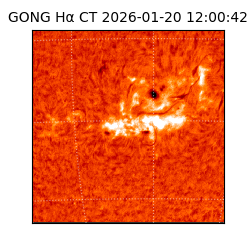 gong - 2026-01-20T12:00:42