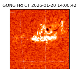 gong - 2026-01-20T14:00:42