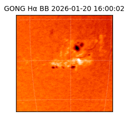 gong - 2026-01-20T16:00:02