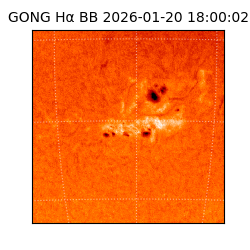 gong - 2026-01-20T18:00:02