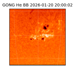 gong - 2026-01-20T20:00:02