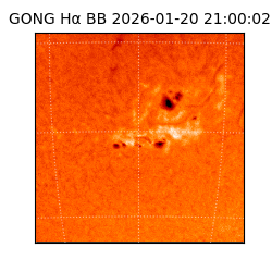 gong - 2026-01-20T21:00:02