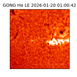 gong - 2026-01-20T01:00:42