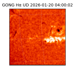 gong - 2026-01-20T04:00:02