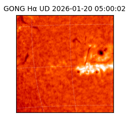 gong - 2026-01-20T05:00:02