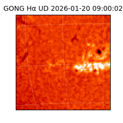 gong - 2026-01-20T09:00:02