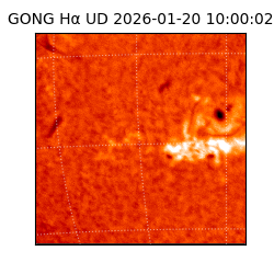 gong - 2026-01-20T10:00:02