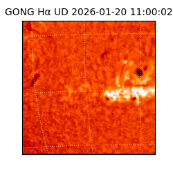 gong - 2026-01-20T11:00:02