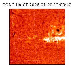gong - 2026-01-20T12:00:42