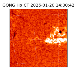 gong - 2026-01-20T14:00:42