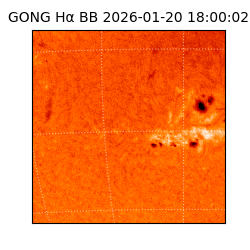 gong - 2026-01-20T18:00:02