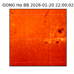 gong - 2026-01-20T22:00:02