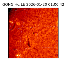 gong - 2026-01-20T01:00:42