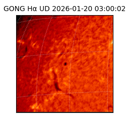 gong - 2026-01-20T03:00:02