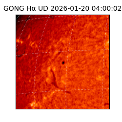 gong - 2026-01-20T04:00:02