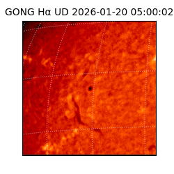 gong - 2026-01-20T05:00:02