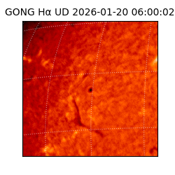 gong - 2026-01-20T06:00:02