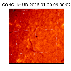 gong - 2026-01-20T09:00:02