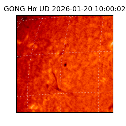 gong - 2026-01-20T10:00:02